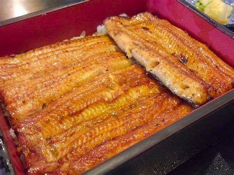 Unagi vs anago – All you need to know about Japan’s .